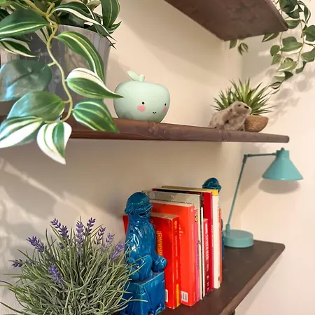La Casa Di Zelda Apartment *